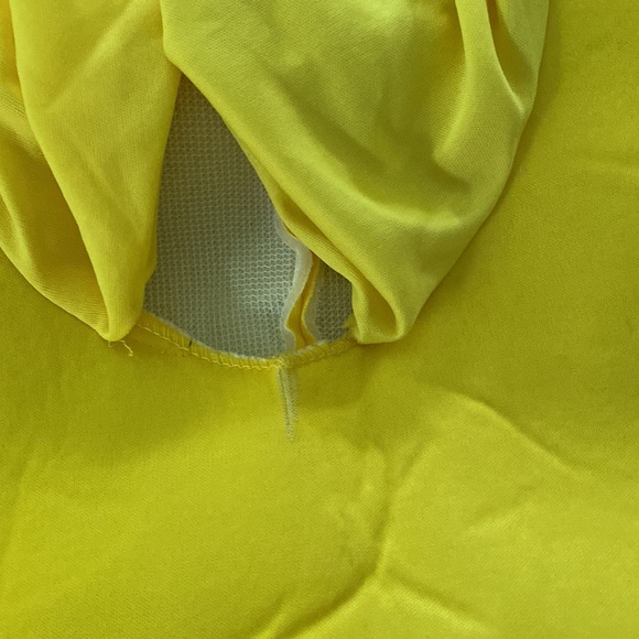 Yellow Angry Bird Halloween Costume - Picture 4 of 5